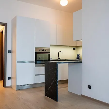 Apartman Kvin Ludwig Brünn (Brno)